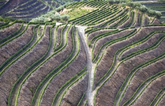 A birds eye view of a road cutting through the land. 