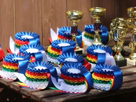 Equestrian rosettes.