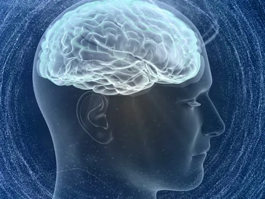 A digitally illustrated head with the brain in a lighter blue hue so it is the focus of the image.