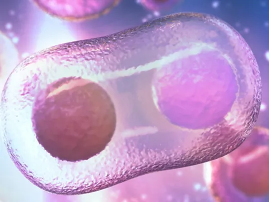 A digital illustration of a microscopic view of a cell.