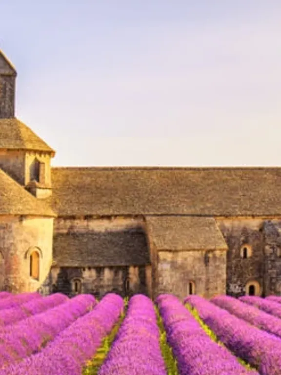 A landscape view of a church in the south of France, with a Lavender field in front of it.