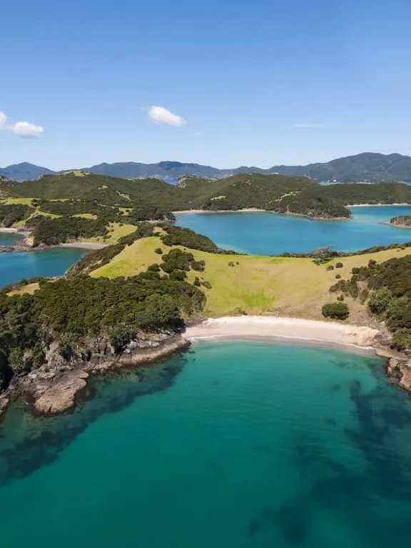 Landscape view of the New Zealand coastline, surrounded by clear blue water and a clear sky.