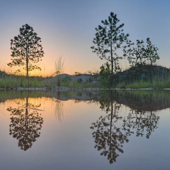 A tranquil scene at sunrise or sunset in Belize with silhouetted trees reflecting in still water.