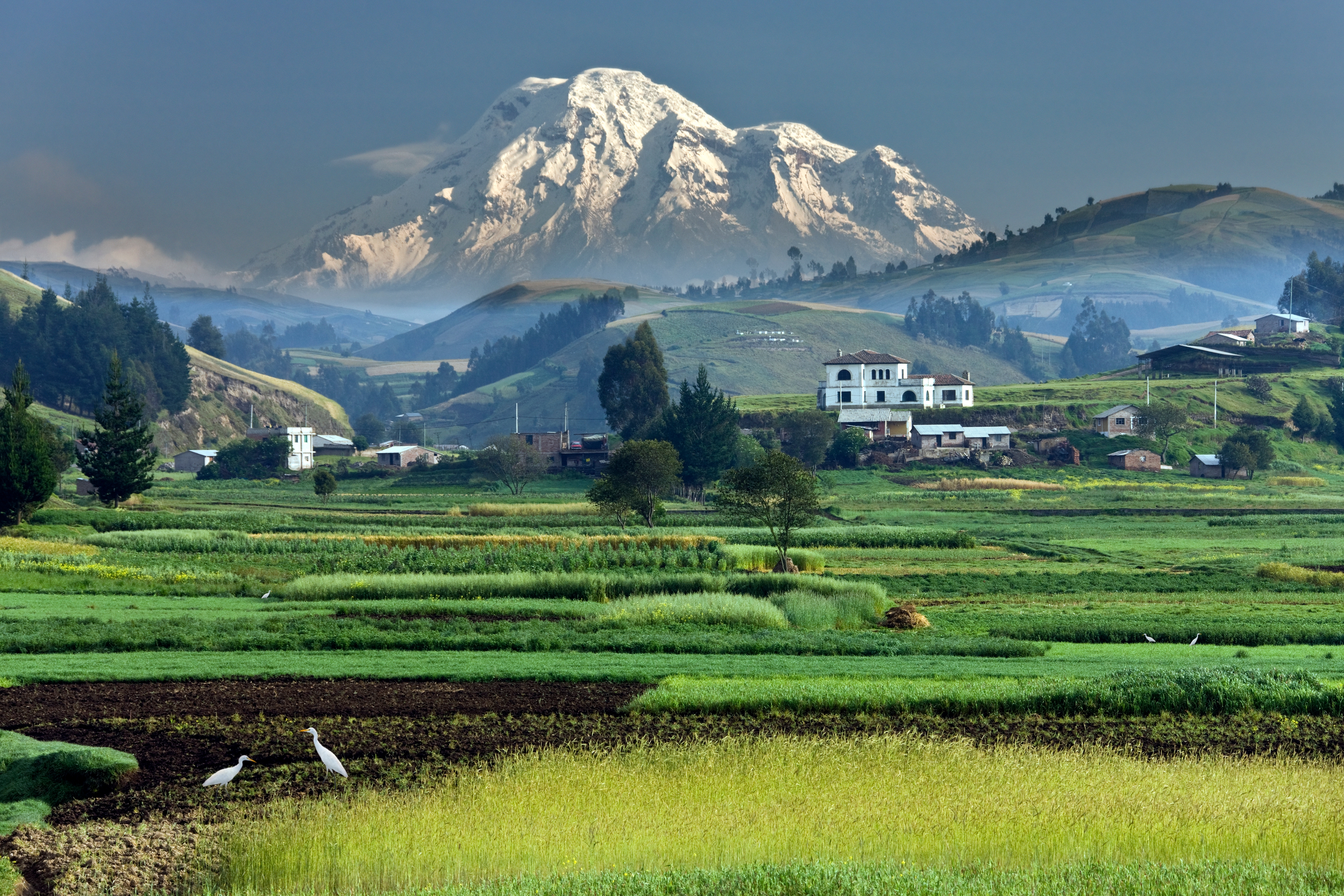 Lush farmland with scattered houses and a snow-capped mountain in the background