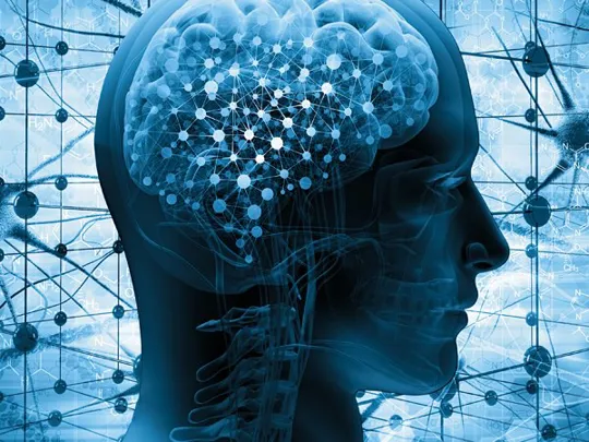 A blue background with a head in the foreground and an illustrated brain inside it.
