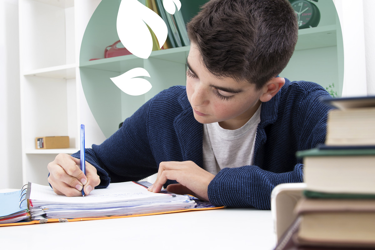 Boy writing notes in a ring binder at a tidy study desk.
